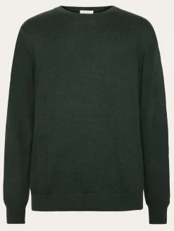 Regular Knit Crew Neck Made Of Merino Wool